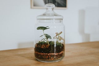 Are Decorative Glass Jars Useful?