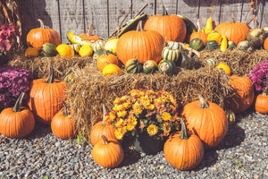 Preparing for Winter | Glass Jars and Bottles
